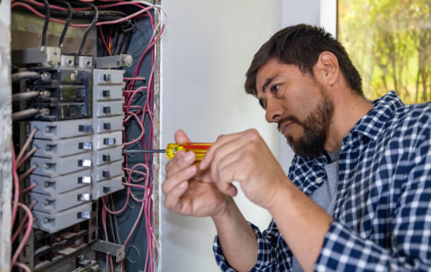 Best Generator Installation Services  in Wixom, MI